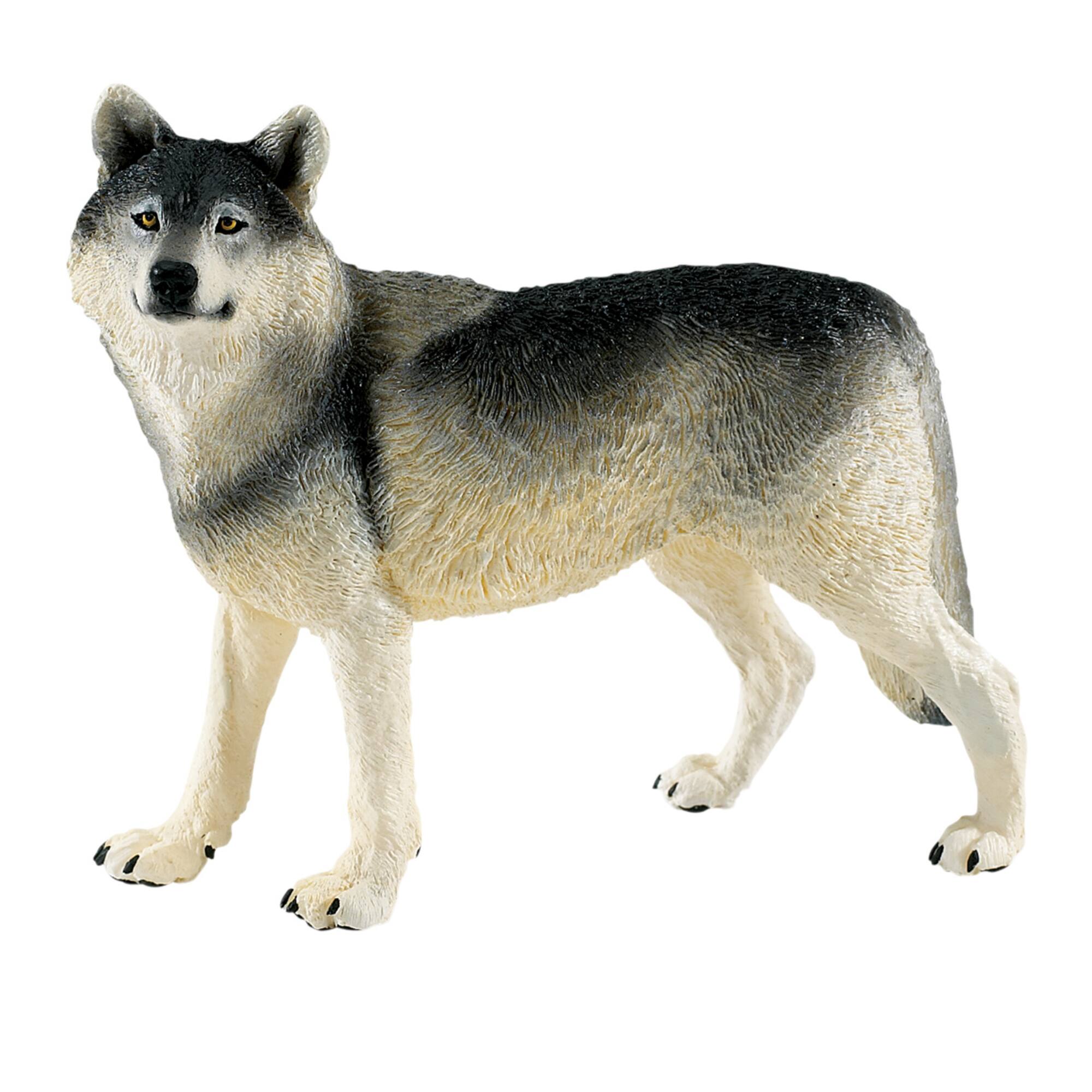 Safari Ltd® Wolf